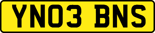 YN03BNS