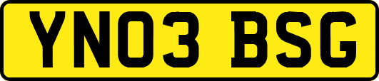 YN03BSG