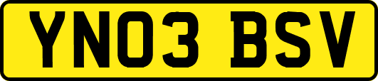 YN03BSV
