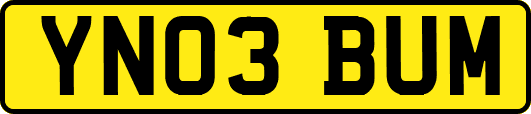 YN03BUM