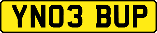 YN03BUP