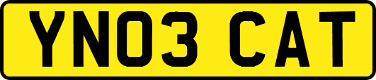 YN03CAT