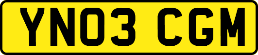YN03CGM