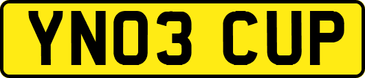 YN03CUP