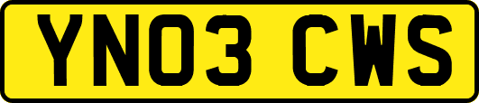 YN03CWS