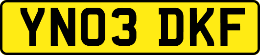 YN03DKF