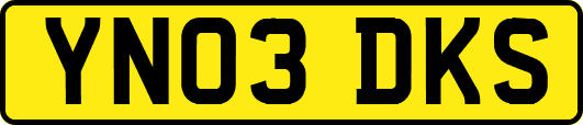 YN03DKS