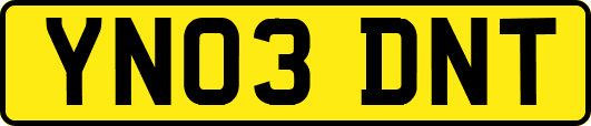 YN03DNT