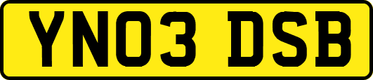 YN03DSB