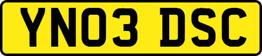 YN03DSC