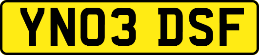 YN03DSF