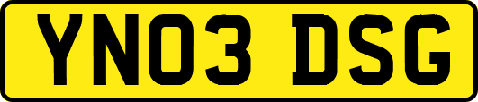 YN03DSG