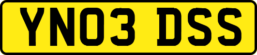 YN03DSS
