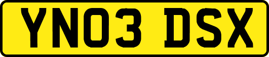 YN03DSX