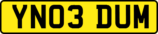 YN03DUM