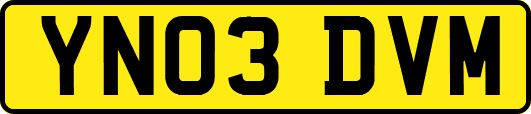 YN03DVM