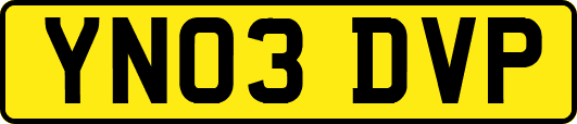 YN03DVP