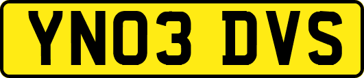 YN03DVS