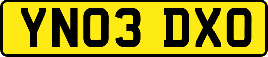 YN03DXO