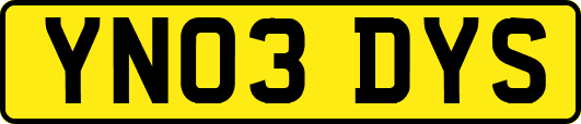YN03DYS