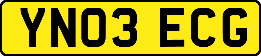 YN03ECG