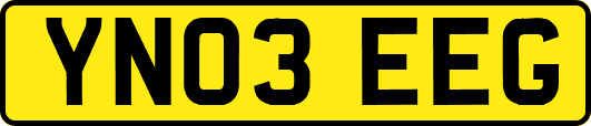 YN03EEG