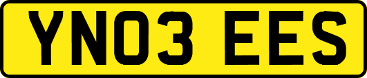 YN03EES
