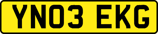 YN03EKG