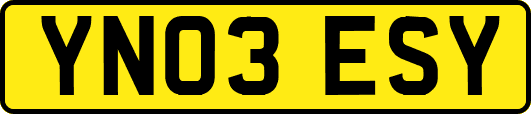 YN03ESY