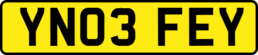 YN03FEY