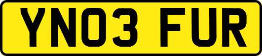 YN03FUR