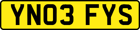 YN03FYS