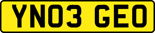 YN03GEO
