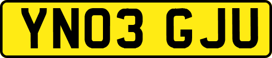 YN03GJU