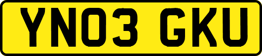 YN03GKU