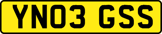 YN03GSS