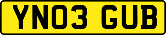 YN03GUB