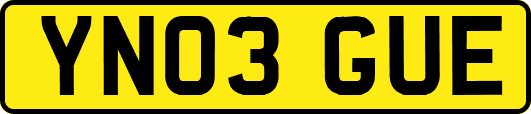 YN03GUE