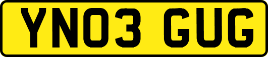 YN03GUG