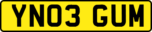 YN03GUM