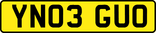 YN03GUO