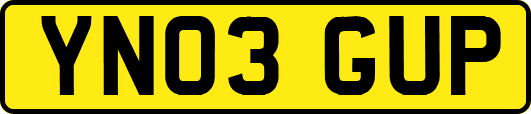 YN03GUP