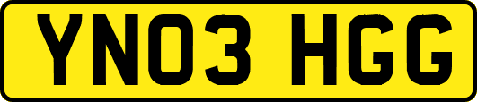 YN03HGG
