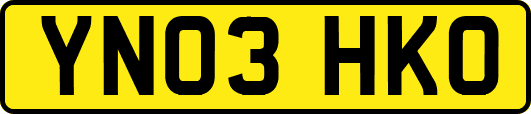 YN03HKO