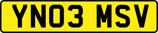 YN03MSV
