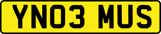 YN03MUS