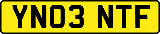 YN03NTF