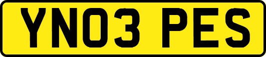 YN03PES