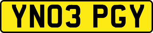 YN03PGY