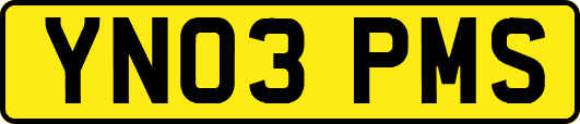 YN03PMS
